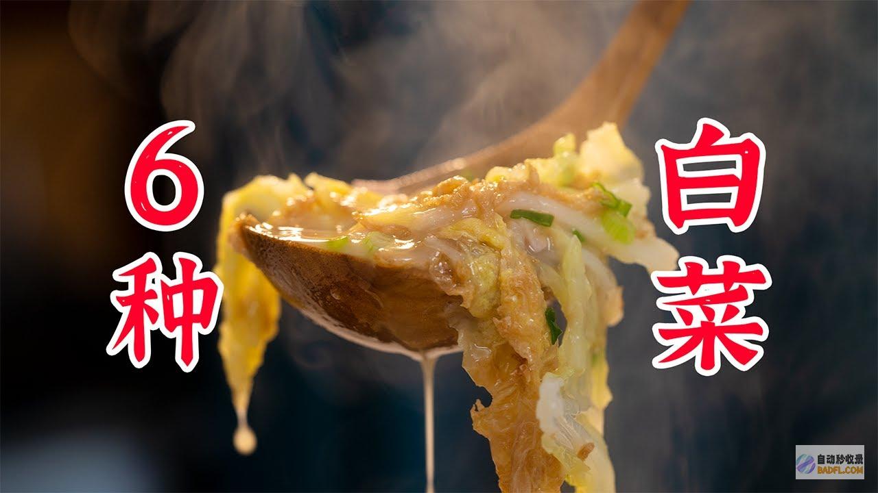 小白菜料理宝典：囊括百种美味做法，让你的厨房焕发新彩 (小白菜料理宝宝能吃吗)