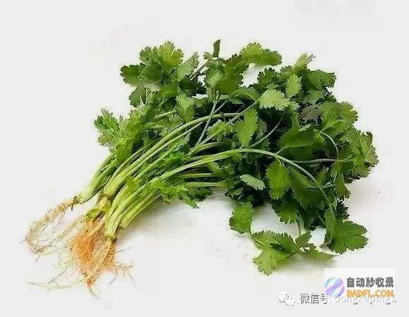 开胃健脾的作用