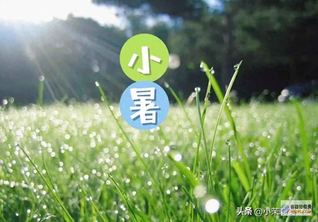 3不吃 叮咛家人 安康入伏 今天小暑 3不做 3不睡 应季而养