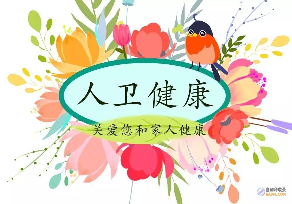 轻松下厨，烹饪无忧：家常菜谱大全，让你轻松成为厨房达人 (下厨烹饪)
