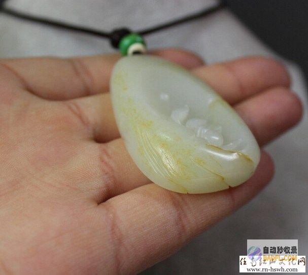 营养丰富的玉米莲藕排骨汤：补气益血，调养身体 (营养丰富的玉米品种)