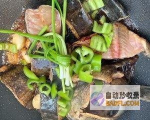 探索鲶鱼料理的无穷可能：鲶鱼做法大全