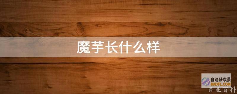 循序渐进的芋头糕美味佳肴制作指南 (循序渐进的语句)
