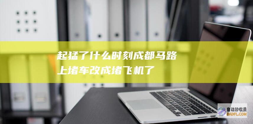 起猛了！什么时刻成都马路上堵车改成堵飞机了 (起猛了什么意思网络用语)