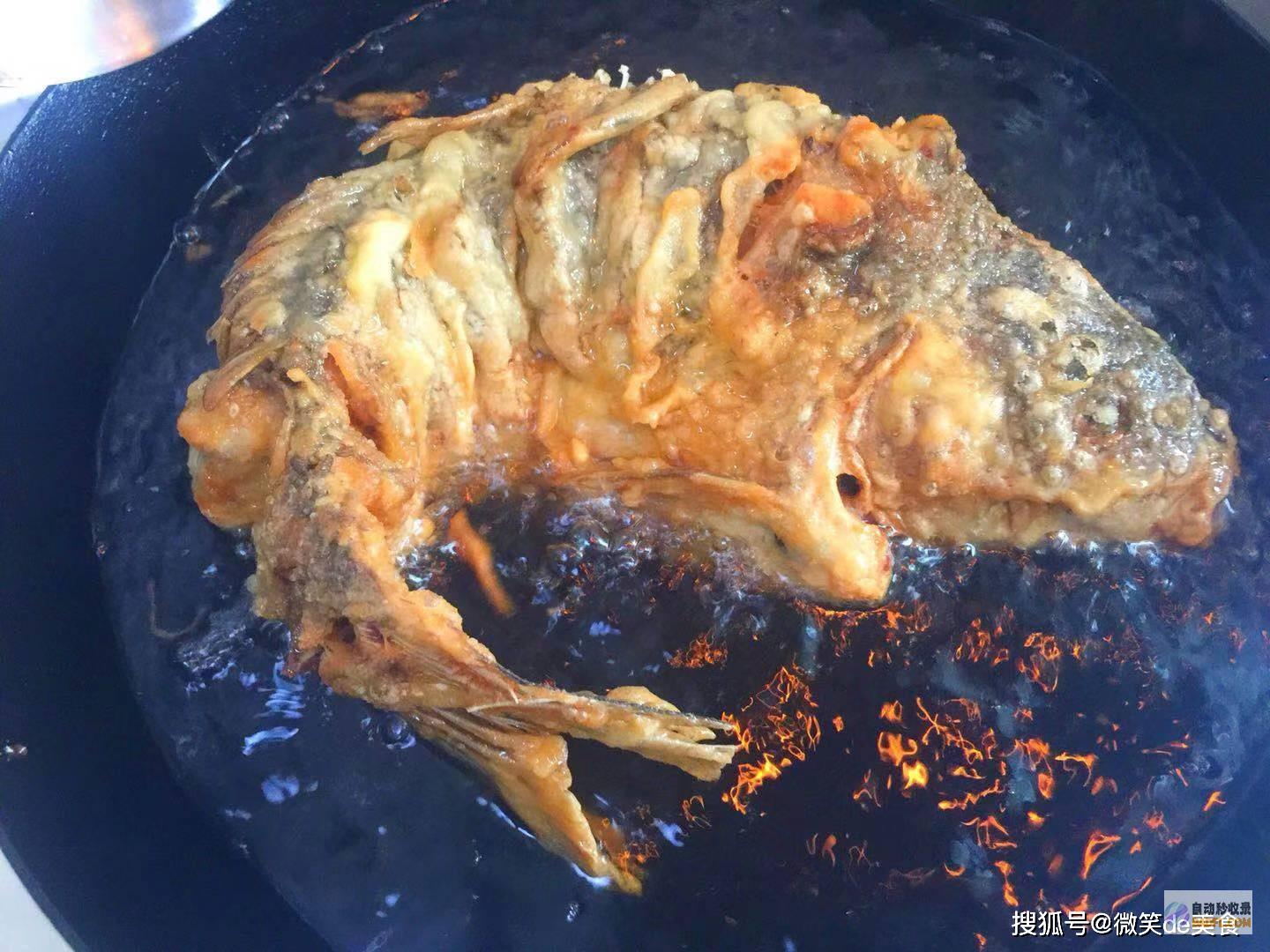 揭秘鲤鱼烹饪秘籍：掌握美味与营养的完美平衡 (揭秘鲤鱼烹饪视频)