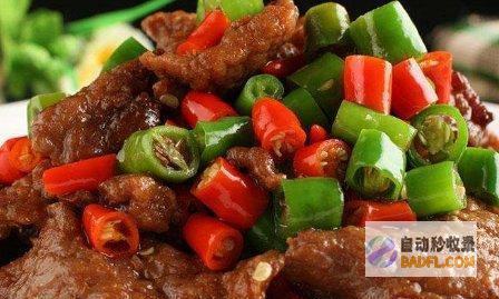 炒牛肉百科全书：从基础到大师级的食谱和技巧 (炒牛肉百科全过程视频)