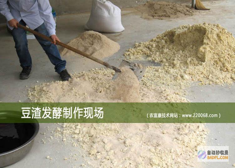 豆渣的妙用： 美味营养、化腐朽为神奇 (豆渣的妙用28个)