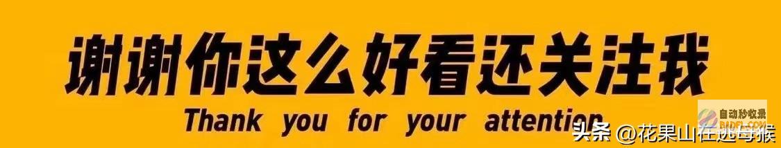 我却笑死在网友评论区里 笑不活了 16个外甥又来舅舅家过暑假了 (我却笑死在网友的评论区)