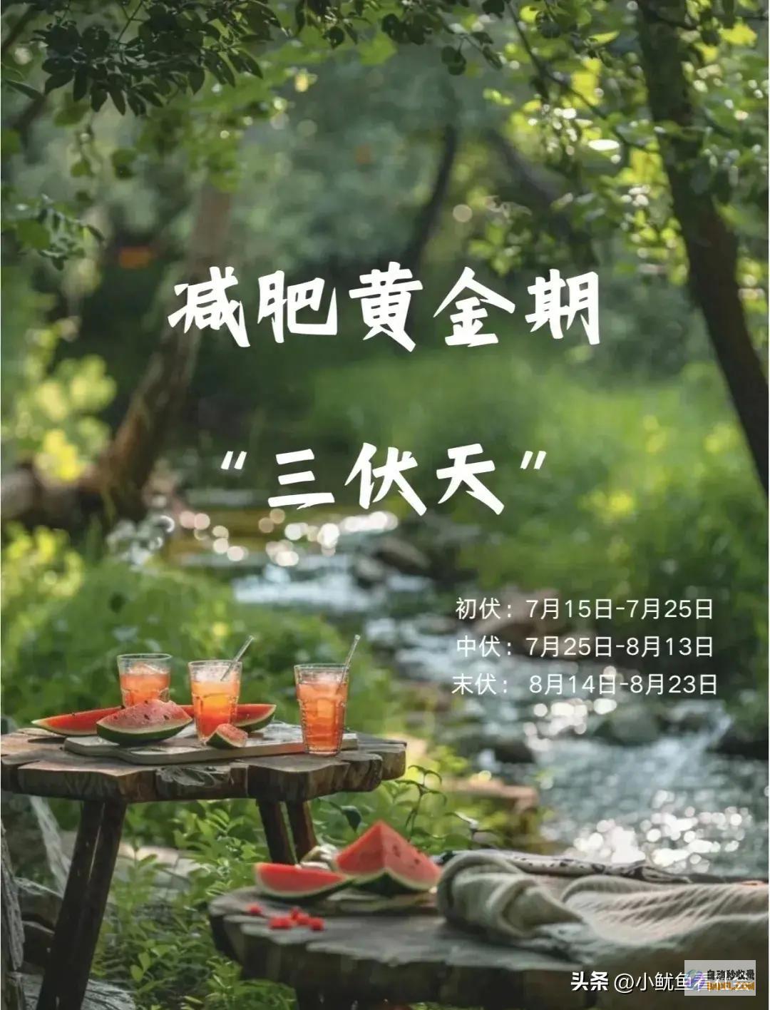 去年三伏天瘦了20斤总结进去的三伏天瘦了正常吗
