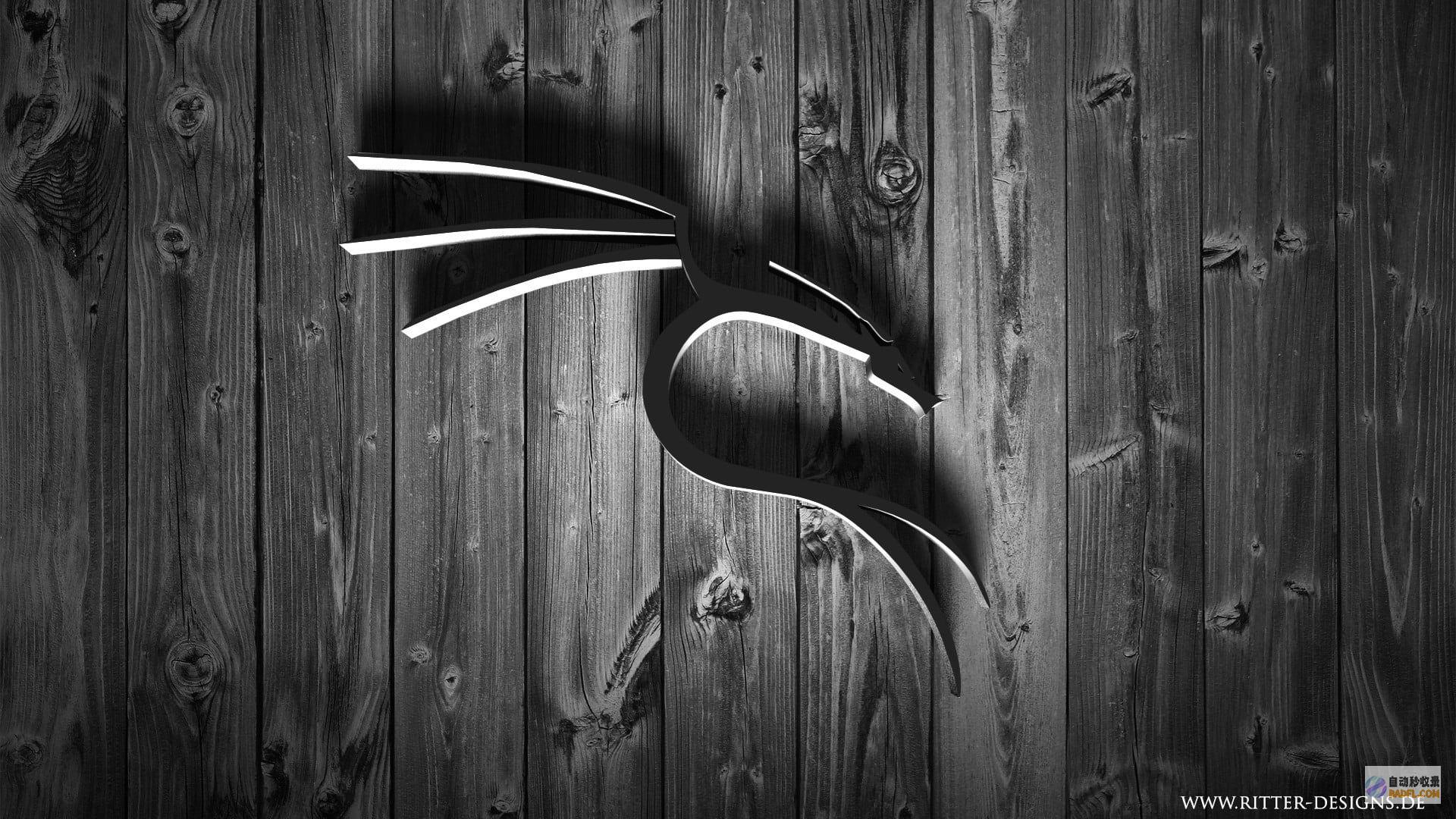 Linux 命令详尽手册：探索 Linux 系统的强大功能 (linux命令)