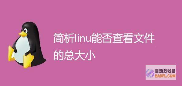在 Linux 中进行高级操作:命令行和脚本的进阶 (在linux系统中,用来存放系统所需要的)