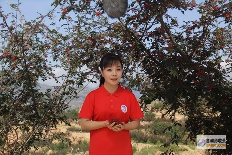 8岁女儿初次出面森林北母女和好友聚餐为坚持身