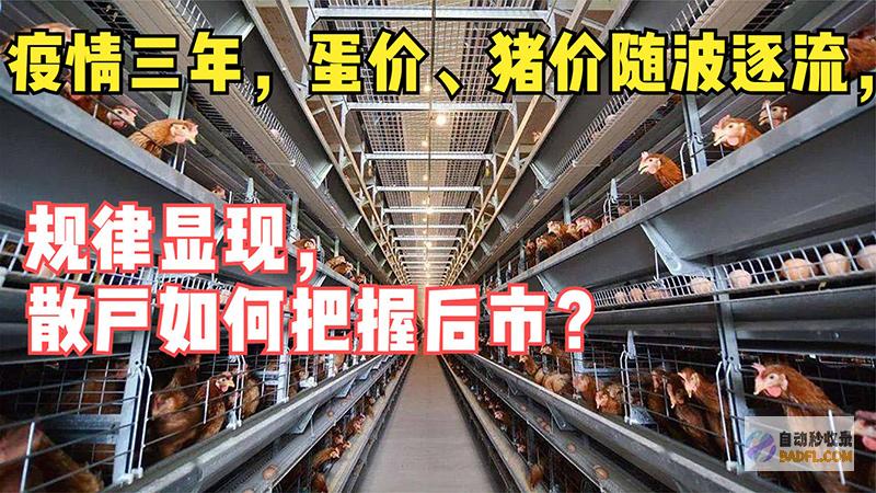 蛋价 ！ 油价 ！7月8日调价后92号汽油多少钱 猛俯视 一夜下跌 (今天全国蛋价)