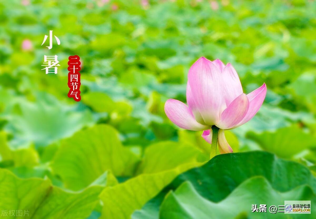 暴雨散布如下强降雨高温核心已定当天夜间至7月8