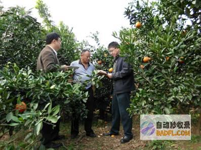 深入了解现代医学：从疾病治疗到基因发现 (深入了解现代化 民族村寨)