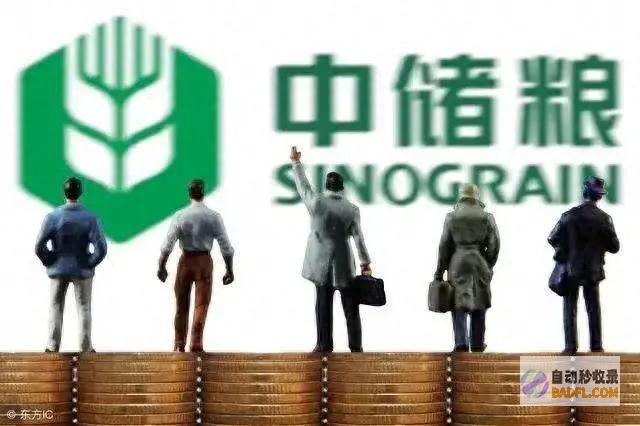 后是油罐子 先是粮耗子 一追究竟 轻举妄动 (油罐子什么意思)