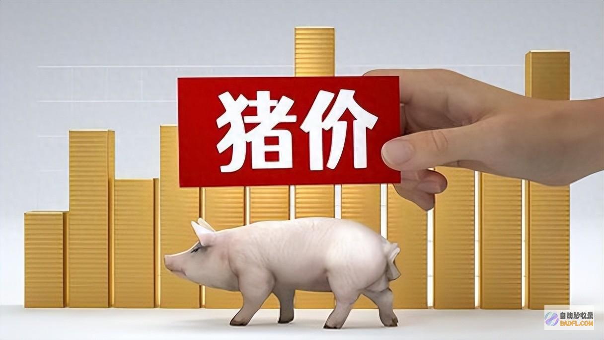 7月8日迎来大退潮！ 明天猪价飙升 (7月8日至10日)