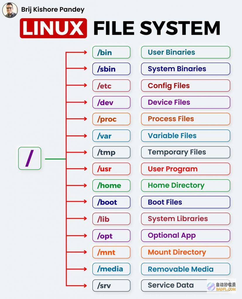 Linux Shell：命令行领域的王者，掌握系统控制权 (linuxsu命令)