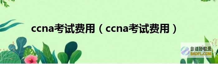 CCNA 认证全面学习指南：提升网络技能的权威资源 (ccna认证考试报名入口)