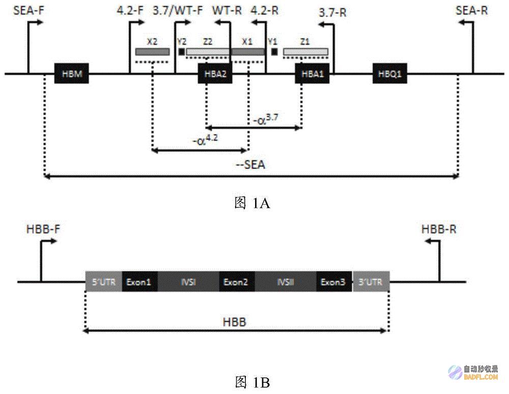 使用 HBase 构建高性能、可扩展的实时数据处理解决方案 (使用hbase shell创建歌曲表,要求有两个列族)
