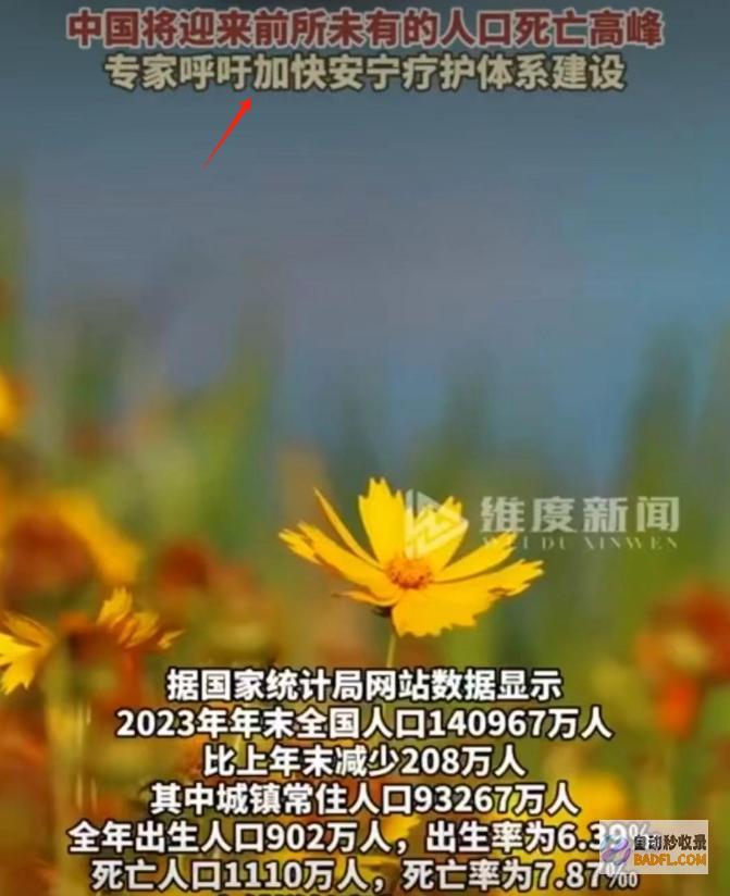 说尽早做预备中国将迎来人口死亡高峰早知今