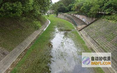 河道最新水情！ 日照水库 (最新河道水情示意图下载)