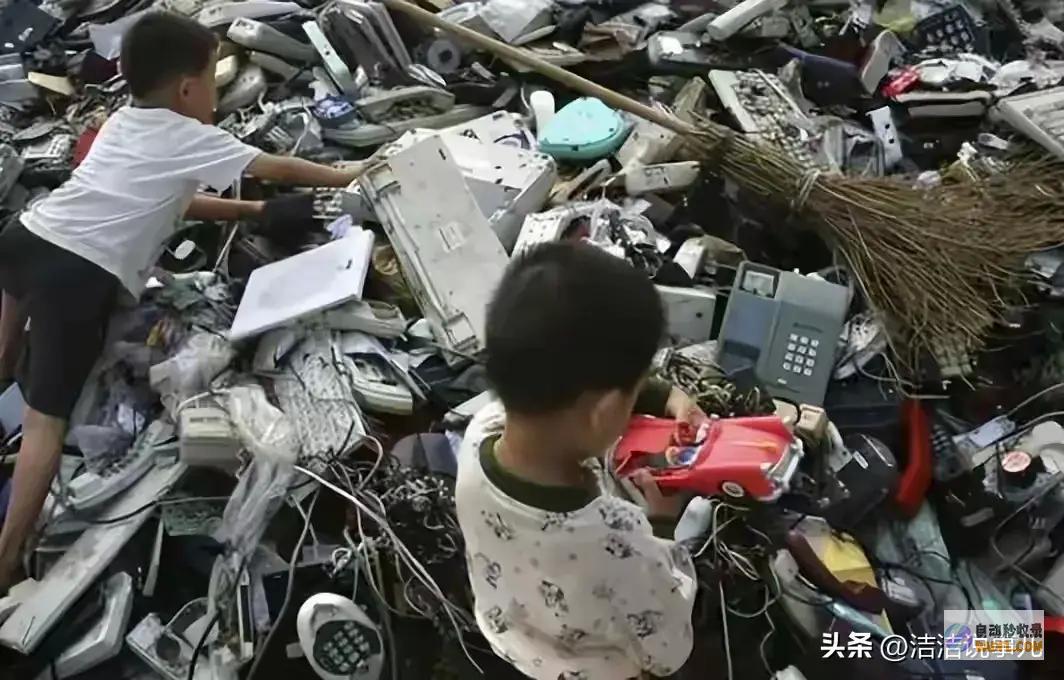 51吨洋渣滓轻轻运往中国腥臭味扑鼻还有虫卵为何