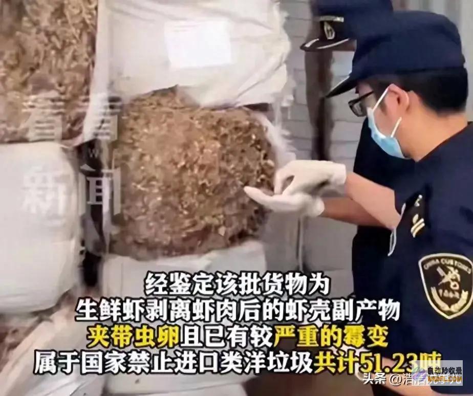 51吨洋渣滓轻轻运往中国！腥臭味扑鼻还有虫卵 为何屡禁不止 (一吨洋灰多少袋)