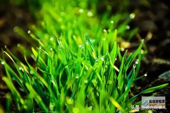 强降雨高温情势确定山东暴雨全国第一当天夜间至