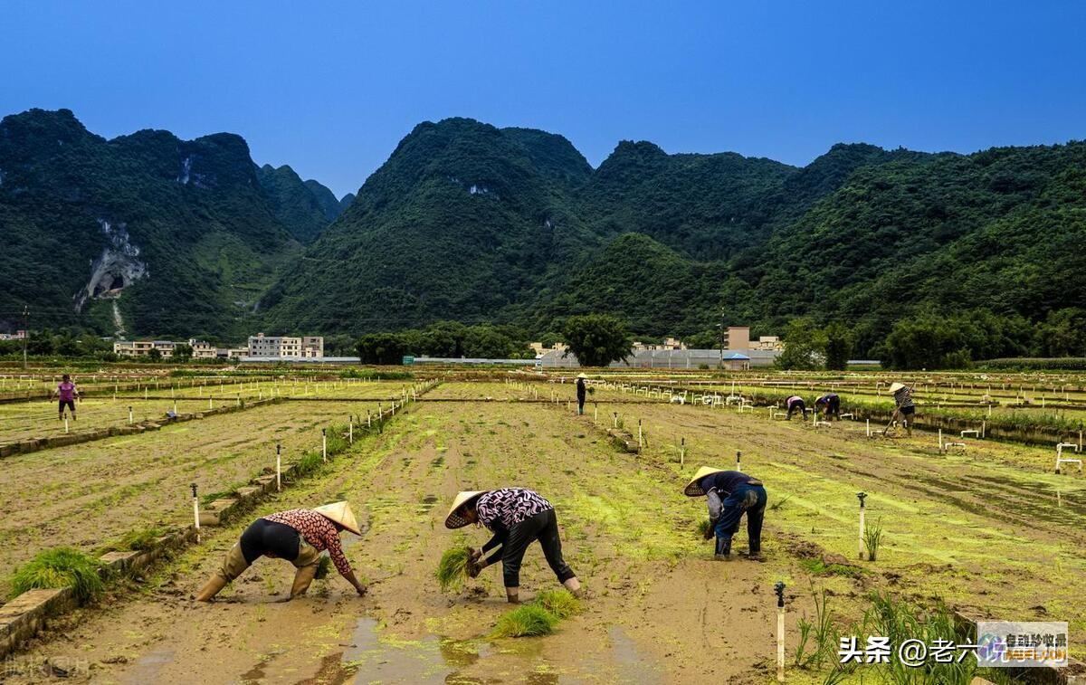强降雨高温情势确定山东暴雨全国第一当天夜间至