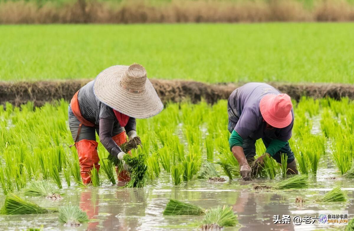 山东暴雨全国第一当天夜间至7月11日天气强降雨