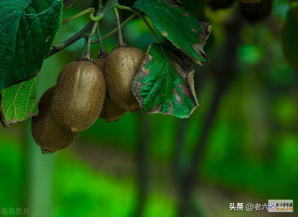 山东暴雨全国第一当天夜间至7月11日天气强降雨
