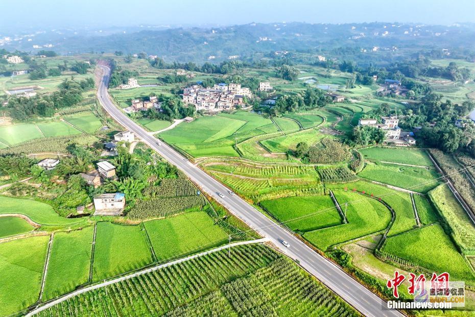 合江丰景如画好年景合江风景