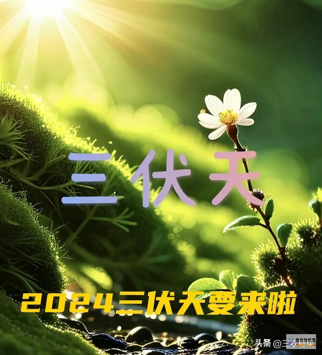 强降雨高温核心已定当天夜间至7月9日天气预告暴