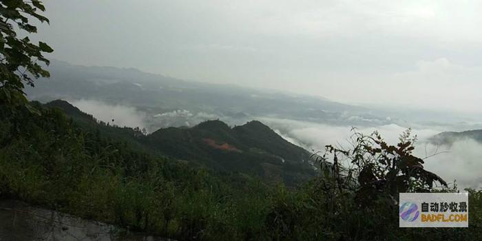 山东多地遭逢特大暴雨 临沂全市平均降水量达120.8毫米！ (山东受灾)