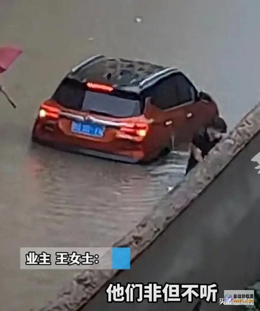 以邻为壑 临沂一小区的业主将兽性的恶表现的酣畅淋漓 山东暴雨 (以邻为壑临沂的拼音)