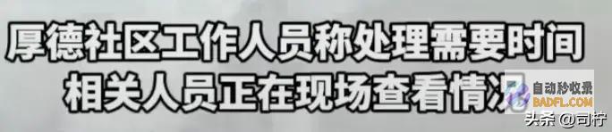 以邻为壑临沂一小区的业主将兽性的恶表现的酣畅