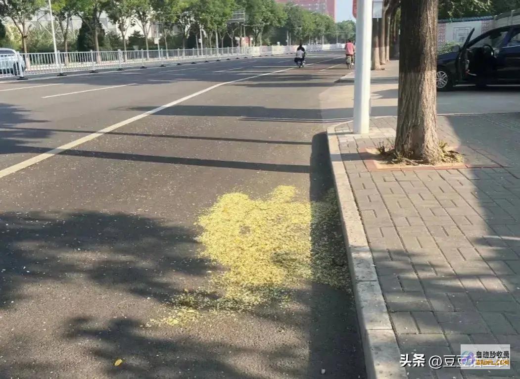 山东大范畴暴雨来袭详细降雨地域如下明天8～9号强
