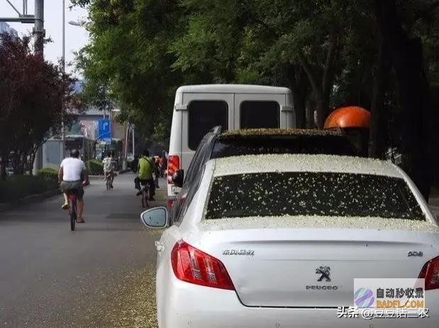 山东大范畴暴雨来袭详细降雨地域如下明天8～9号强