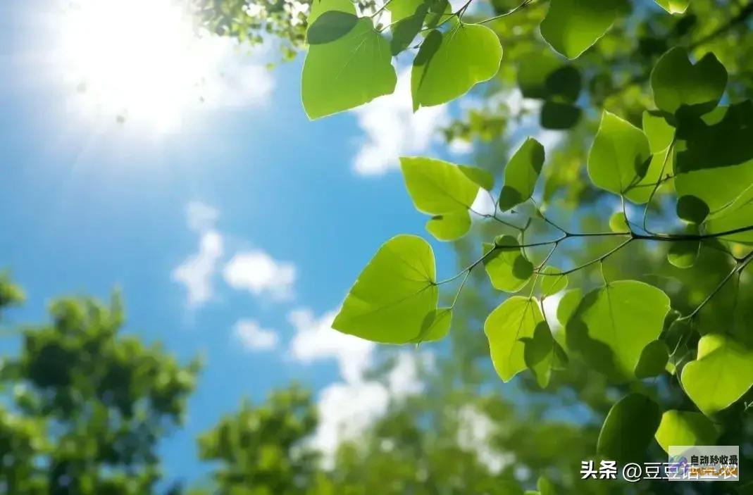 山东大范畴暴雨来袭详细降雨地域如下明天8～9号强