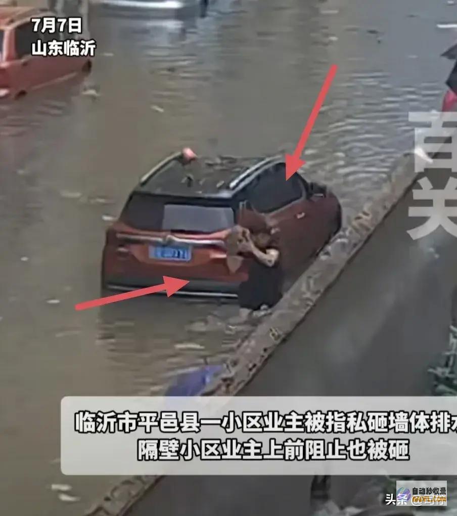 以邻为壑暴雨临沂一小区的业主将兽性的恶表