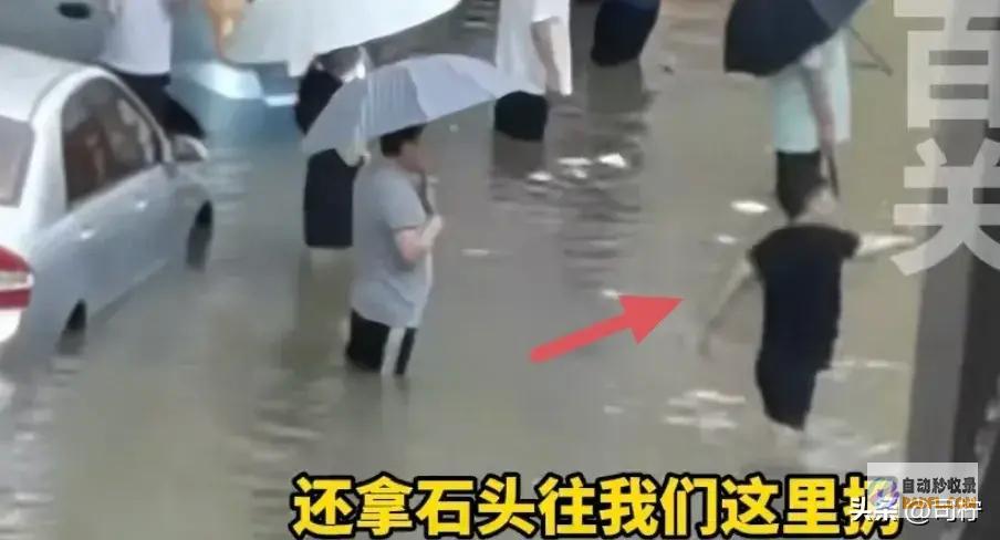 以邻为壑暴雨临沂一小区的业主将兽性的恶表