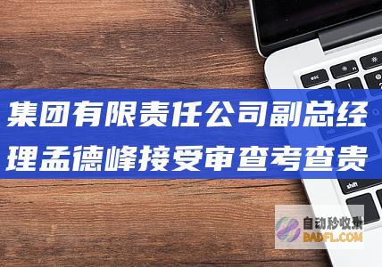 集团 有限责任公司副总经理孟德峰接受审查考查 贵州盐业 (吉林省通用机械集团有限责任)