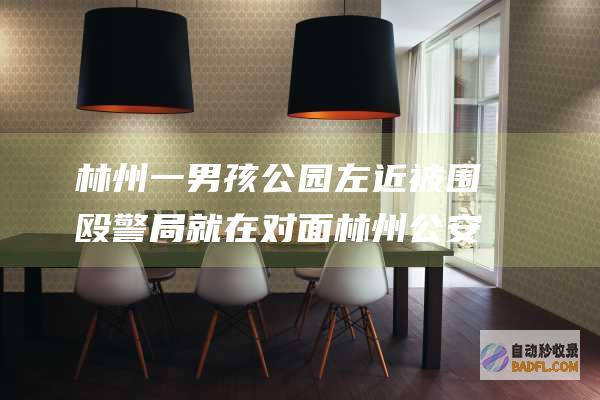 林州一男孩公园左近被围殴 警局就在对面 林州公安评论区失陷！ (林州四男子)