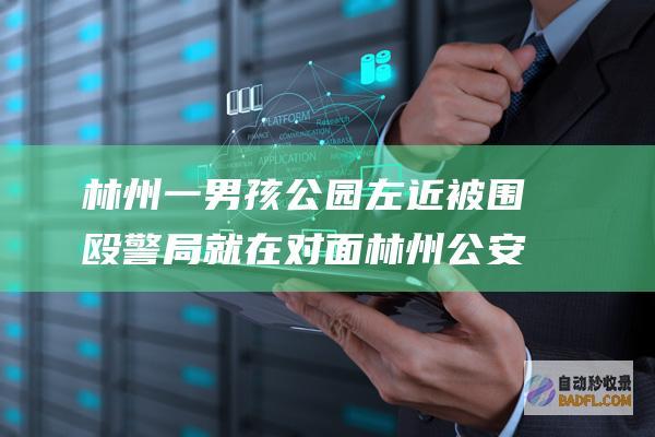 林州一男孩公园左近被围殴 警局就在对面 林州公安评论区失陷！ (林州小伙)