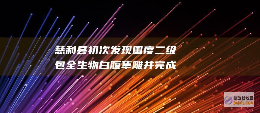 慈利县初次发现国度二级包全生物白腹隼雕 并完成救治放生野外 (慈利县初次发洪水时间)