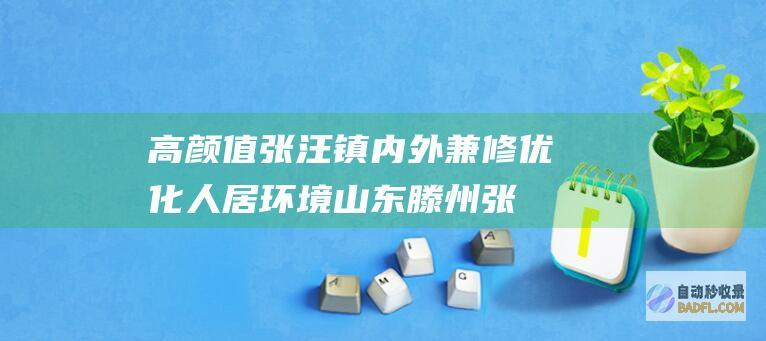 高颜值 张汪镇内外兼修优化人居环境 山东滕州 (张汪镇的村庄)