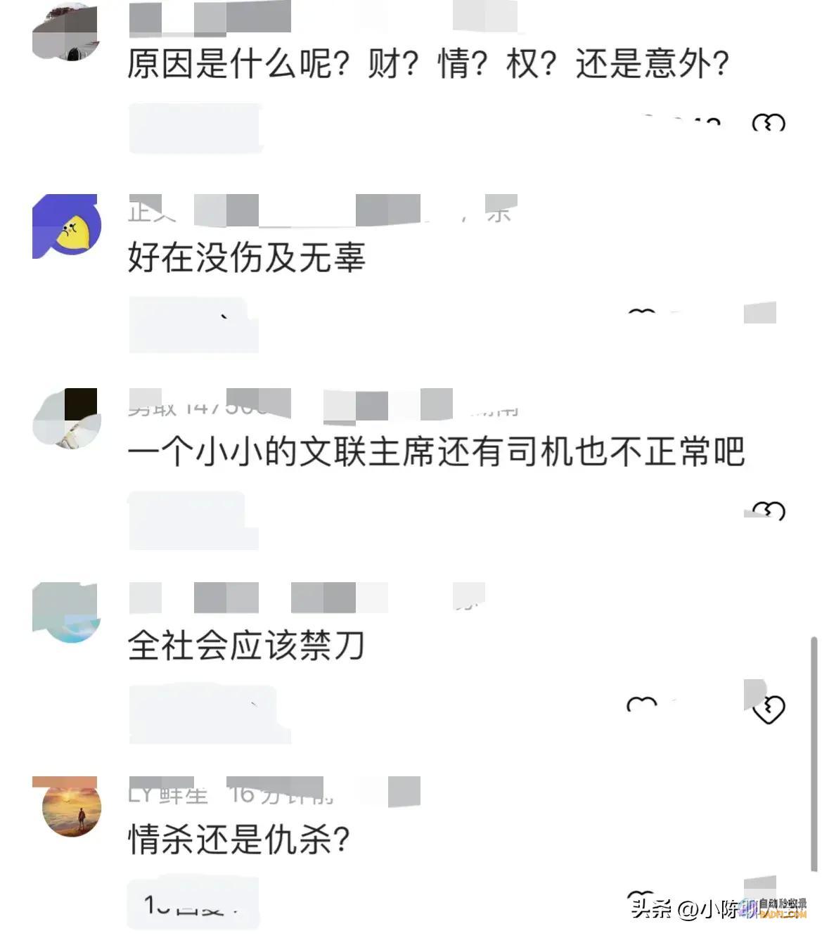 全城哗然谜团掩盖天际假相何在文联巨擘遇刺身亡