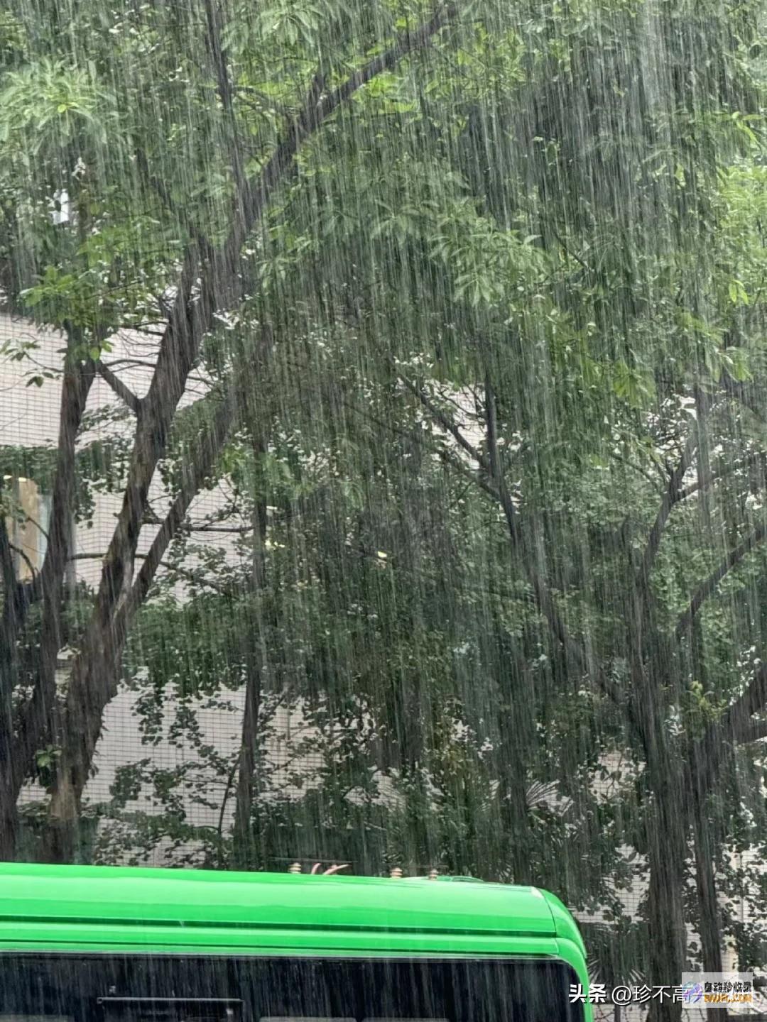 大家临时先别去当天这个雨好大多个景区紧急