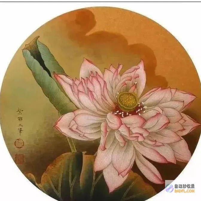 荷花怒放 越南 (和平精英玛莎和马丁对比)